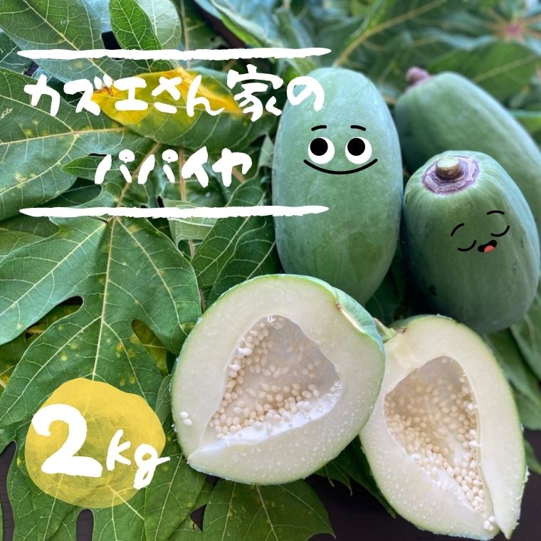 青パパイヤ☆２キロ超え☆オマケ付き - 野菜